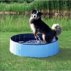 Piscine Pour Chien Désignation : Piscine 160 X 30 Cm Trixie 39483
