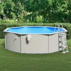 VidaXL Piscine Avec échelle De Sécurité 460x120 Cm