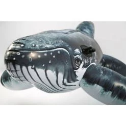 Baleine Gonflable Intex -Piscine Soldes Boutique 5727920 3