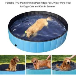 TANCYCO Piscine Pliable En PVC Pour Chien, Chat, Animal De Compagnie, Piscine Pour Chien, Baignoire Pour Enfants, Bassin D'eau Pour Chiens, Chats Et Enfants En été, 160 X 30 Cm. -Piscine Soldes Boutique 64277715 5