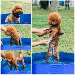 BENOBBY KIDS Pecute Piscine Pour Chien | Baignoire Chien Pliable | Tissus Non Toxique, Piscine Enfant | Pour Jardin, Patio Ou Salle De Bain, Plus Robuste | Nouvelle Version - Résistant à L'usure,80*30cm，bleu -Piscine Soldes Boutique 64861855 4